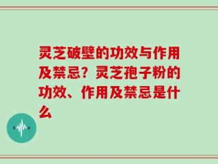 灵芝破壁的功效与作用及禁忌？灵芝孢子粉的功效、作用及禁忌是什么