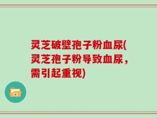 灵芝破壁孢子粉血尿(灵芝孢子粉导致血尿，需引起重视)