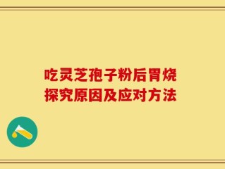 吃灵芝孢子粉后胃烧 探究原因及应对方法