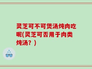 灵芝可不可煲汤炖肉吃呢(灵芝可否用于肉类炖汤？)