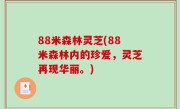 88米森林灵芝(88米森林内的珍爱，灵芝再现华丽。)