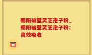朝阳破壁灵芝孢子粉_朝阳破壁灵芝孢子粉：高效吸收