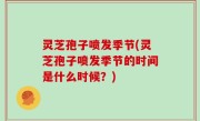 灵芝孢子喷发季节(灵芝孢子喷发季节的时间是什么时候？)