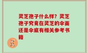 灵芝孢子什么样？灵芝孢子究竟在灵芝的伞面还是伞底有相关参考书籍