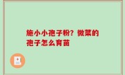 施小小孢子粉？微菜的孢子怎么育苗