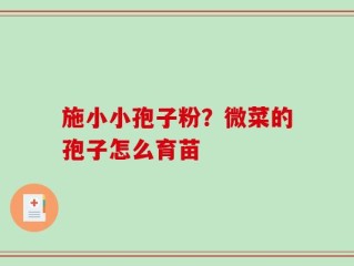 施小小孢子粉？微菜的孢子怎么育苗