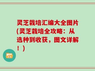 灵芝栽培汇编大全图片(灵芝栽培全攻略：从选种到收获，图文详解！)