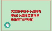 灵芝孢子粉中小品牌有哪些(小品牌灵芝孢子粉推荐TOP列表)