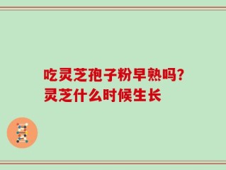吃灵芝孢子粉早熟吗？灵芝什么时候生长