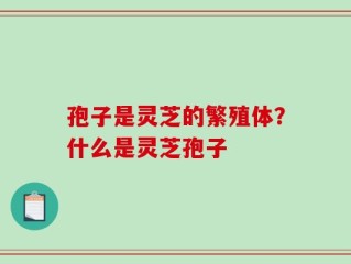 孢子是灵芝的繁殖体？什么是灵芝孢子
