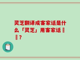 灵芝翻译成客家话是什么「灵芝」用客家话點稱？