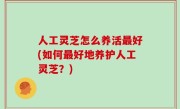 人工灵芝怎么养活最好(如何最好地养护人工灵芝？)