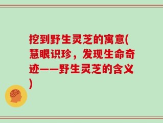 挖到野生灵芝的寓意(慧眼识珍，发现生命奇迹——野生灵芝的含义)