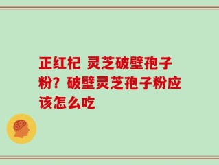 正红杞 灵芝破壁孢子粉？破壁灵芝孢子粉应该怎么吃
