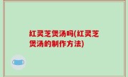 红灵芝煲汤吗(红灵芝煲汤的制作方法)