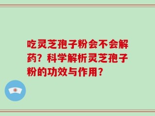 吃灵芝孢子粉会不会解药？科学解析灵芝孢子粉的功效与作用？