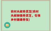 农村大叔养灵芝(农村大叔倾情养灵芝，引领乡村健康养生)