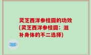 灵芝西洋参桂圆的功效(灵芝西洋参桂圆：滋补身体的不二选择)