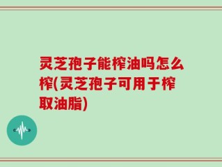 灵芝孢子能榨油吗怎么榨(灵芝孢子可用于榨取油脂)