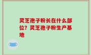 灵芝孢子粉长在什么部位？灵芝孢子粉生产基地