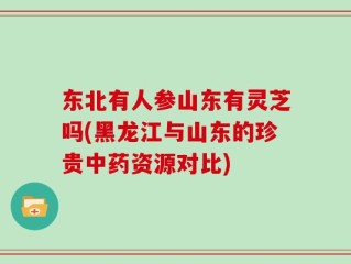 东北有人参山东有灵芝吗(黑龙江与山东的珍贵中药资源对比)