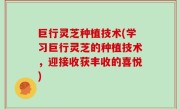 巨行灵芝种植技术(学习巨行灵芝的种植技术，迎接收获丰收的喜悦)