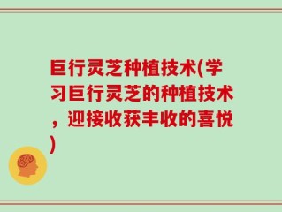 巨行灵芝种植技术(学习巨行灵芝的种植技术，迎接收获丰收的喜悦)