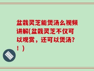 盆栽灵芝能煲汤么视频讲解(盆栽灵芝不仅可以观赏，还可以煲汤？！)