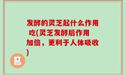 发酵的灵芝起什么作用 吃(灵芝发酵后作用加倍，更利于人体吸收)