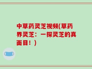 中草药灵芝视频(草药界灵芝：一探灵芝的真面目！)