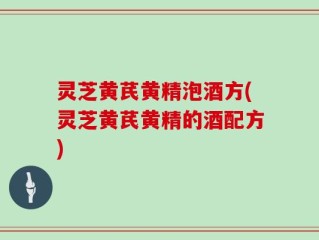 灵芝黄芪黄精泡酒方(灵芝黄芪黄精的酒配方)