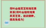 荷叶山楂灵芝玫瑰花黄芪茶(荷叶山楂玫瑰黄芪灵芝茶，滋润健脾，提高免疫力)