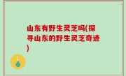 山东有野生灵芝吗(探寻山东的野生灵芝奇迹)
