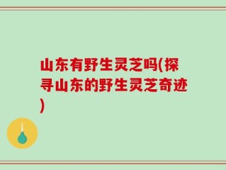 山东有野生灵芝吗(探寻山东的野生灵芝奇迹)