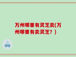 万州哪里有灵芝卖(万州哪里有卖灵芝？)