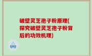 破壁灵芝孢子粉原理(探究破壁灵芝孢子粉背后的功效机理)
