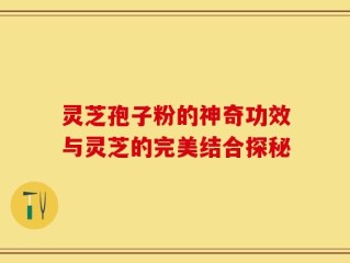 灵芝孢子粉的神奇功效与灵芝的完美结合探秘