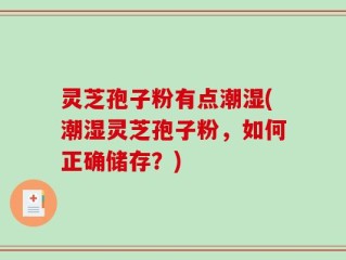 灵芝孢子粉有点潮湿(潮湿灵芝孢子粉，如何正确储存？)