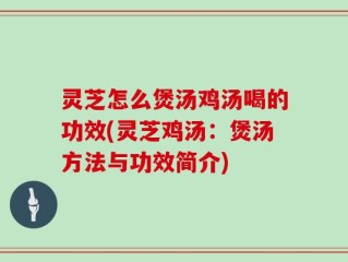 灵芝怎么煲汤鸡汤喝的功效(灵芝鸡汤：煲汤方法与功效简介)