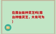 在露台能种灵芝吗(露台种植灵芝，大有可为)