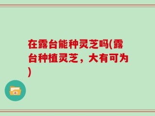 在露台能种灵芝吗(露台种植灵芝，大有可为)