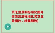 灵芝盆景的标准化图片高清高清标准化灵芝盆景图片，精美细致)