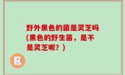 野外黑色的菌是灵芝吗(黑色的野生菌，是不是灵芝呢？)