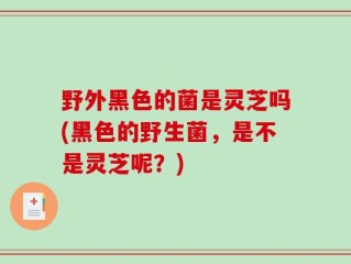野外黑色的菌是灵芝吗(黑色的野生菌，是不是灵芝呢？)