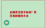 全国灵芝孢子收成？灵芝发酵最快方法