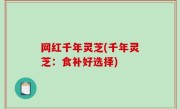 网红千年灵芝(千年灵芝：食补好选择)