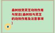 桑树枝煲灵芝功效作用与禁忌(桑树枝与灵芝的功效作用及注意事项)