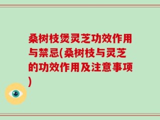 桑树枝煲灵芝功效作用与禁忌(桑树枝与灵芝的功效作用及注意事项)