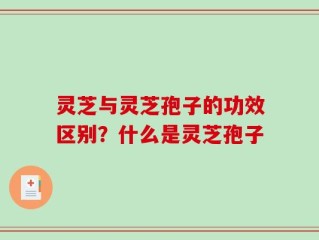 灵芝与灵芝孢子的功效区别？什么是灵芝孢子