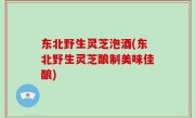 东北野生灵芝泡酒(东北野生灵芝酿制美味佳酿)